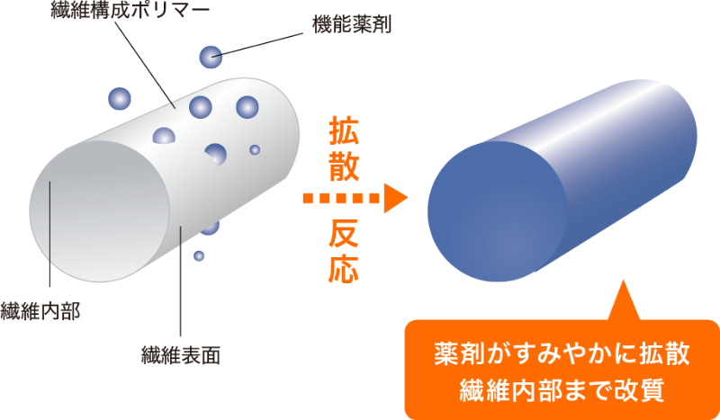 薬剤がすみやかに拡散 繊維内部まで改質