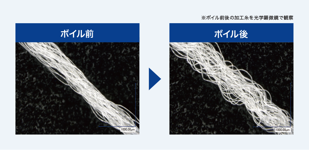 ボイル前/ボイル後 ※ボイル前後の加工糸を化学顕微鏡で観察